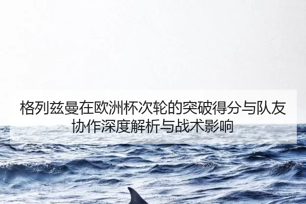 ge-lie-zi-man-zai-ou-zhou-bei-ci-lun-de-tu-po-de-fen-yu-dui-you-xie-zuo-shen-du-jie-xi-yu-zhan-shu-ying-xiang-2-657.jpg