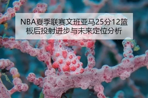 NBA夏季联赛文班亚马25分12篮板后投射进步与未来定位分析